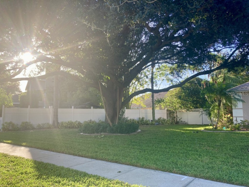 1259 Ballyshannon Parkway Orlando FL 32828 A4673010 image23