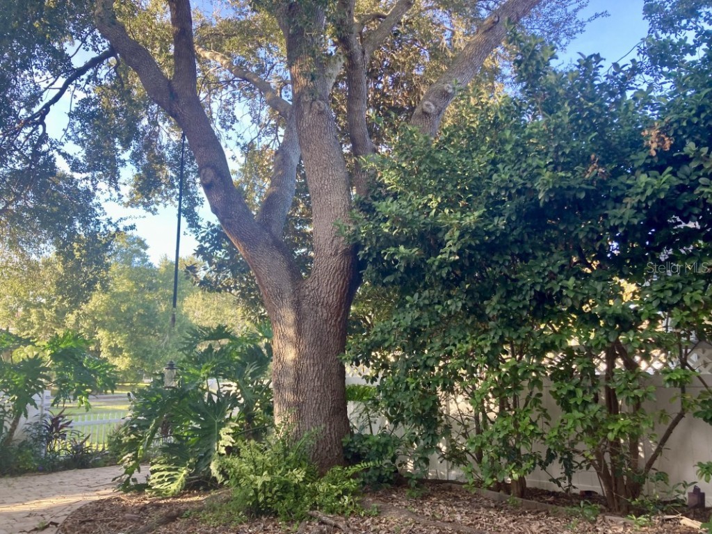 1259 Ballyshannon Parkway Orlando FL 32828 A4673010 image25