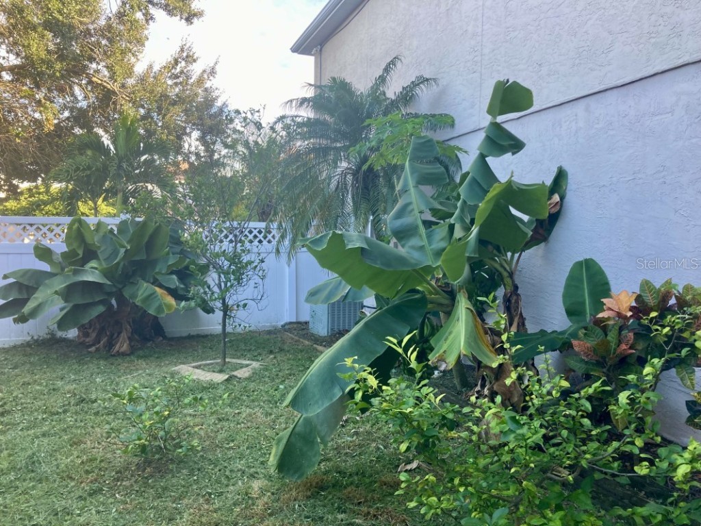 1259 Ballyshannon Parkway Orlando FL 32828 A4673010 image31