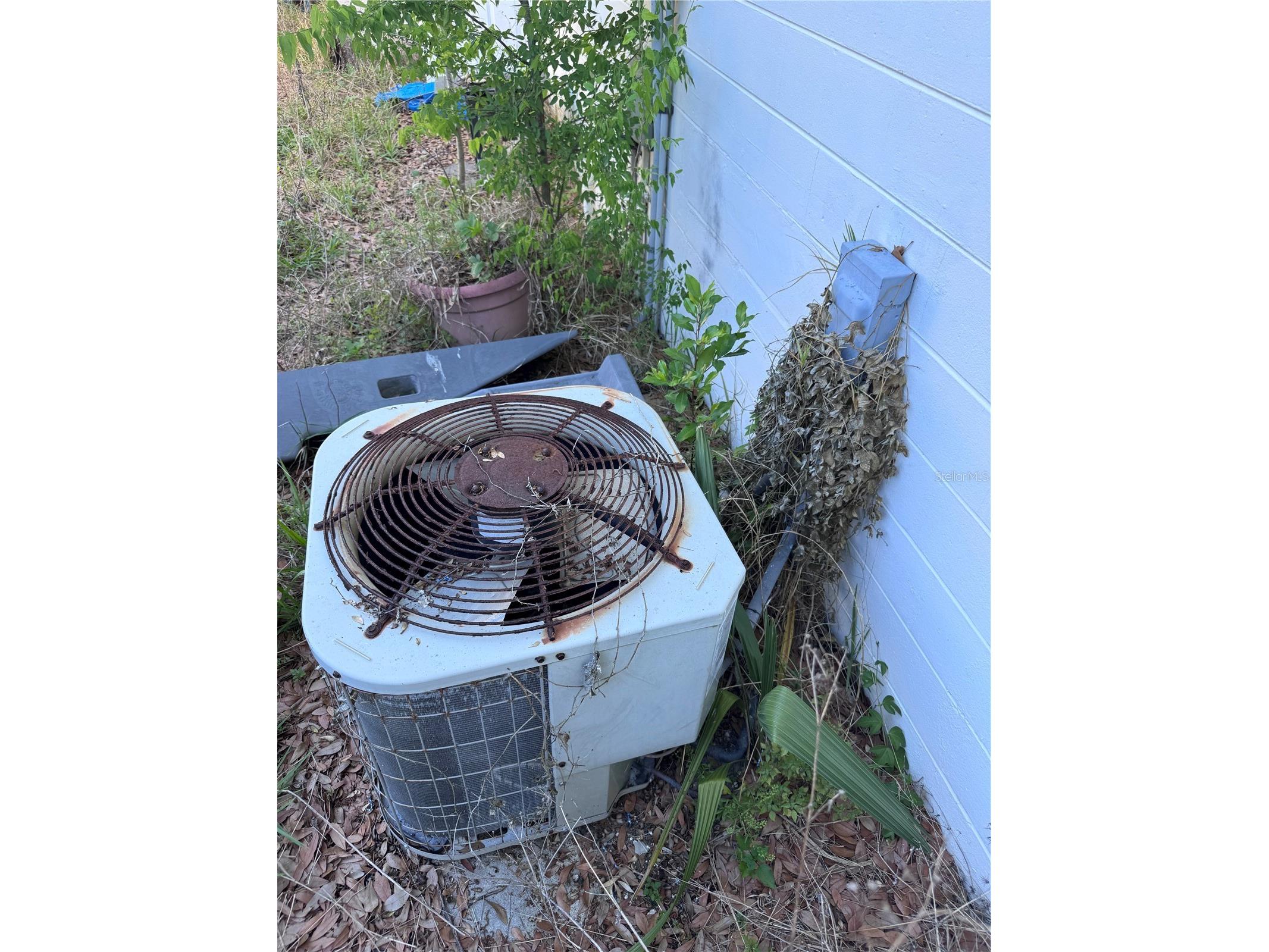 1259 Scottsdale Drive Ormond Beach FL 32174 O6409946 image27