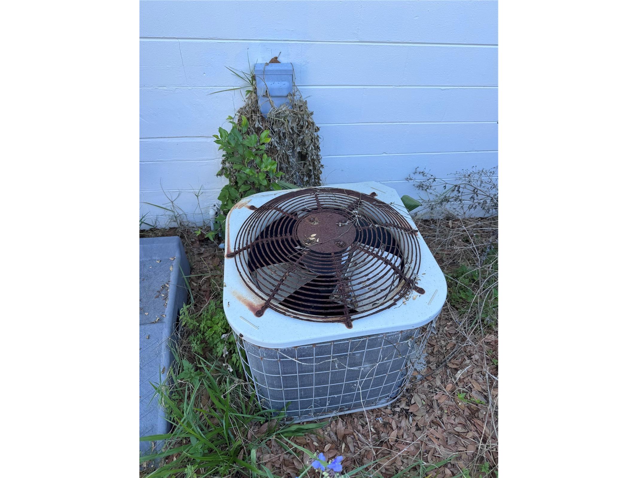 1259 Scottsdale Drive Ormond Beach FL 32174 O6409946 image28
