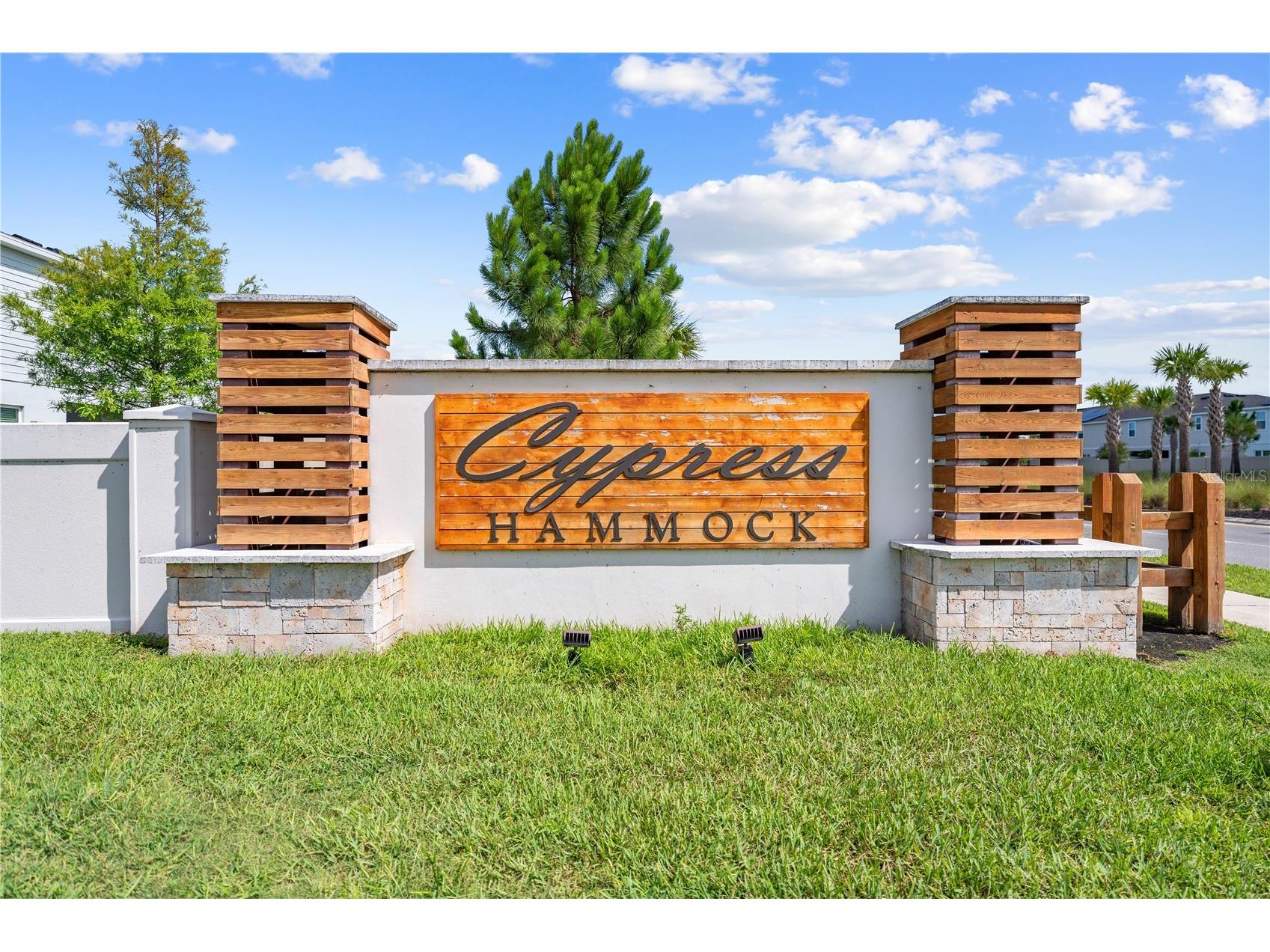 1259 Wispy Cypress Drive Kissimmee FL 34746 O6419499 image12