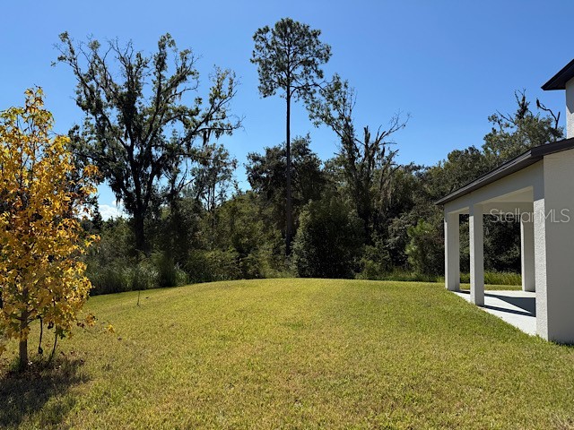 12590 Retreat Place Spring Hill FL 34610 TB8443545 image6