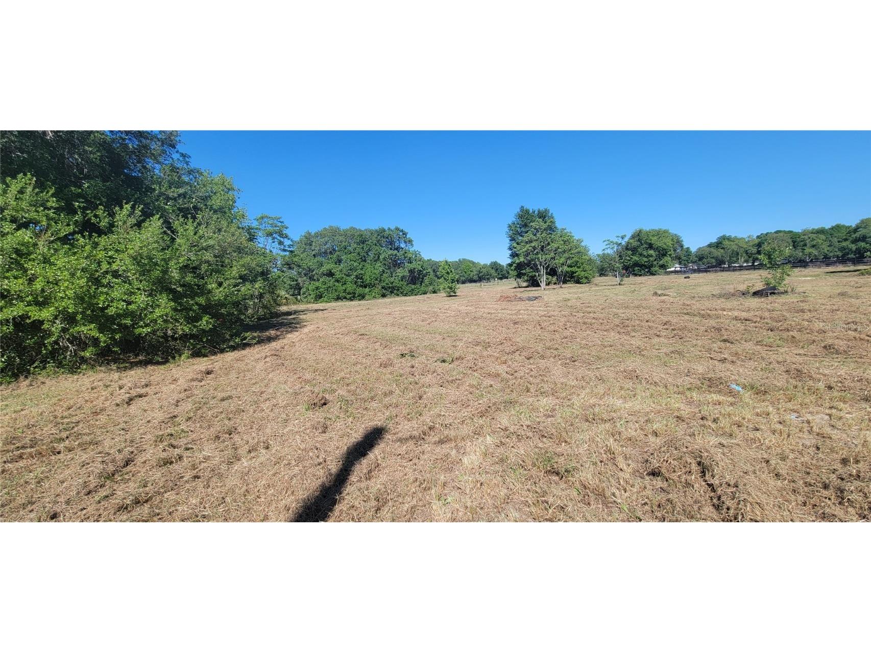 12594 SE Maricamp Road Ocklawaha FL 32179 OM655576 image1