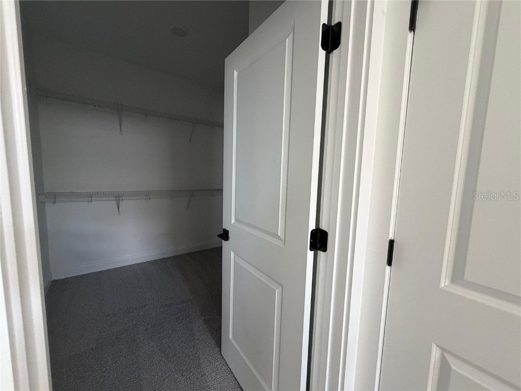 12597 Clear Sapphire Drive Winter Garden FL 34787 S5135529 image15