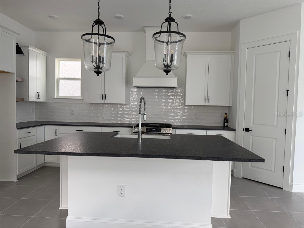 12597 Clear Sapphire Drive Winter Garden FL 34787 S5135529 image2