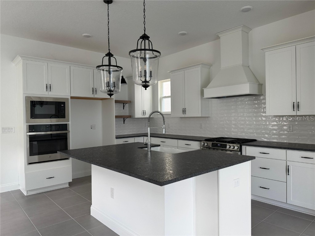 12597 Clear Sapphire Drive Winter Garden FL 34787 S5135529 image3