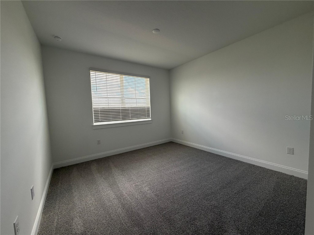 12597 Clear Sapphire Drive Winter Garden FL 34787 S5135529 image8