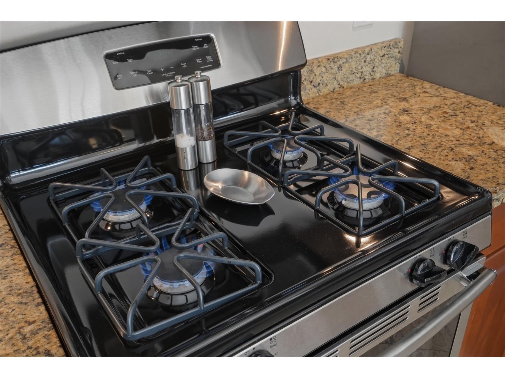 126 22nd Avenue NE Saint Petersburg FL 33704 TB8484700 image25