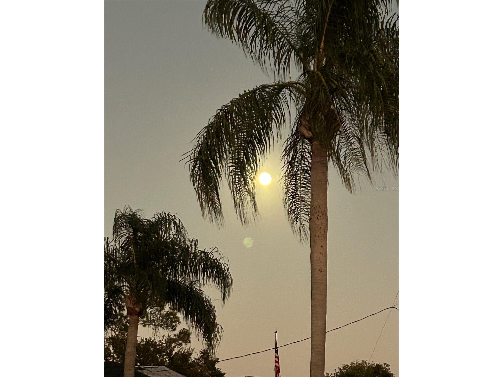 126 Bayside Drive Palm Coast FL 32137 FC314179 image33