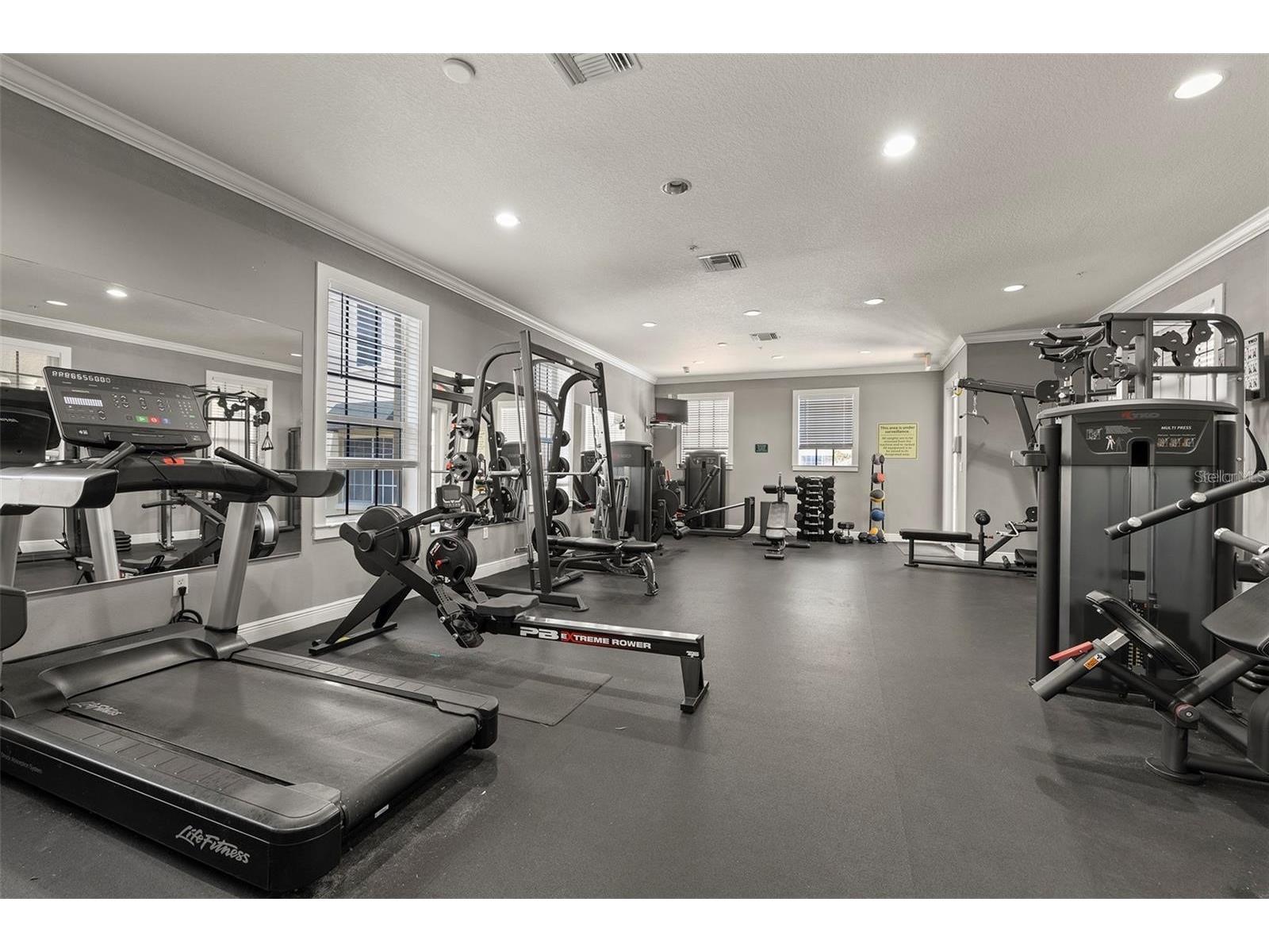 126 Beach Haven Lane #126 Tampa FL 33609 TB8489108 image16