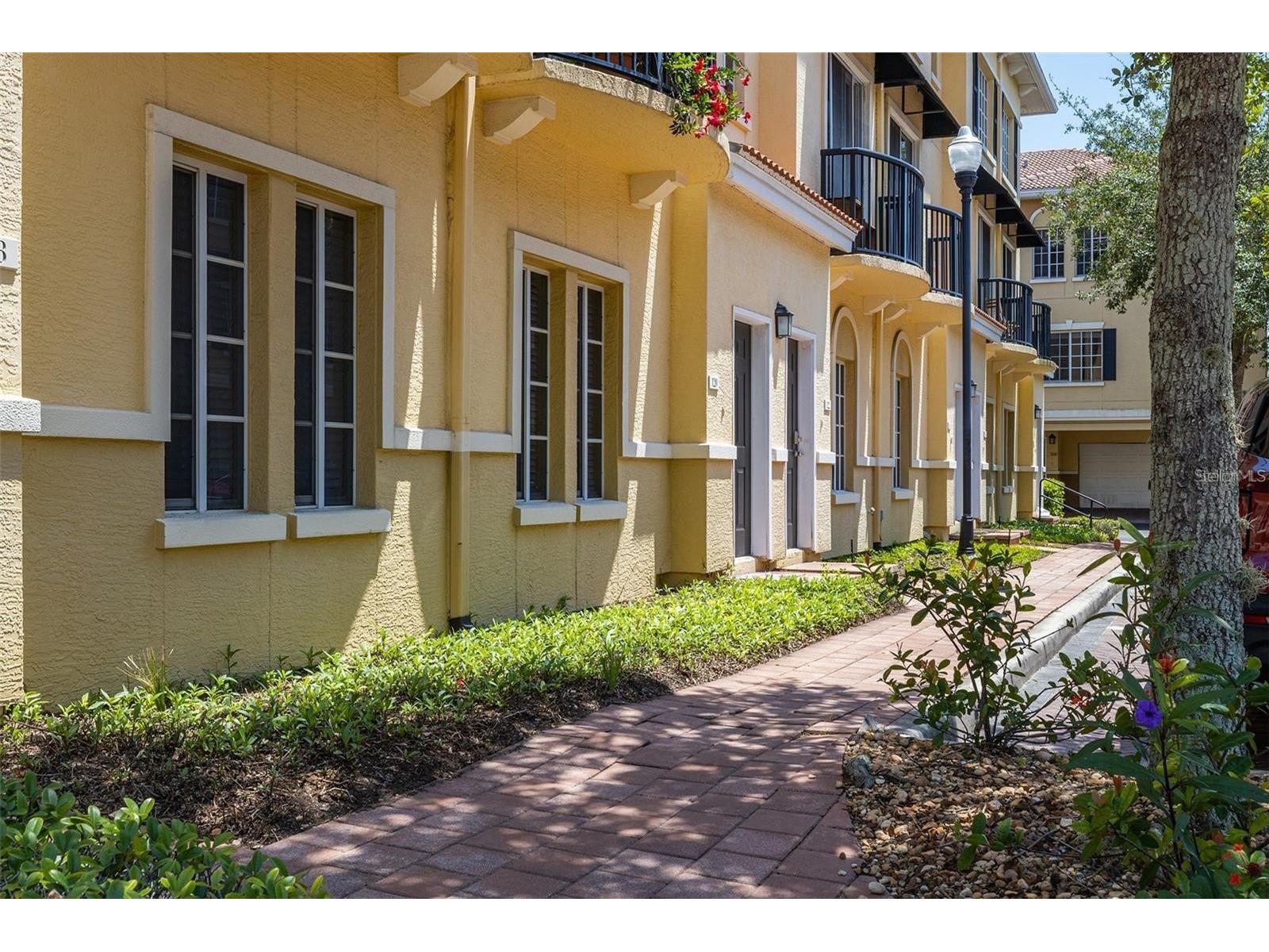 126 Beach Haven Lane #126 Tampa FL 33609 TB8489108 image2