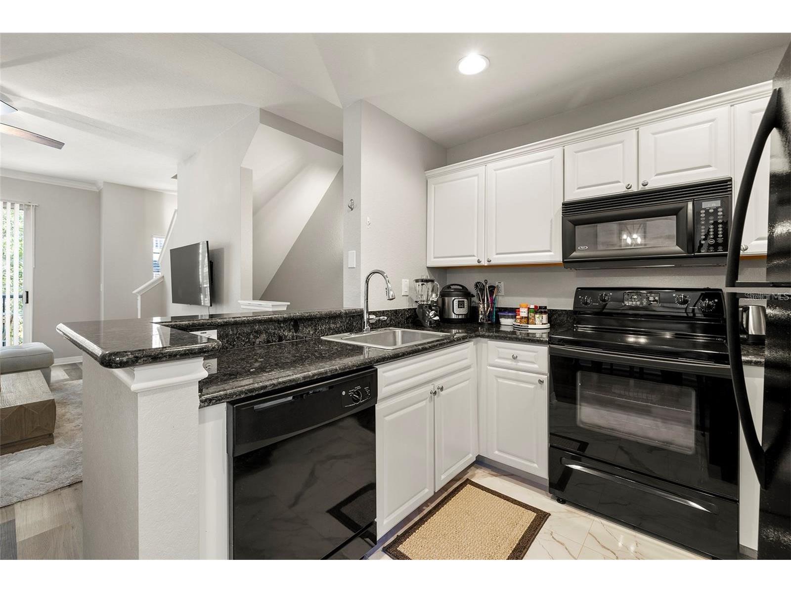 126 Beach Haven Lane #126 Tampa FL 33609 TB8489108 image8