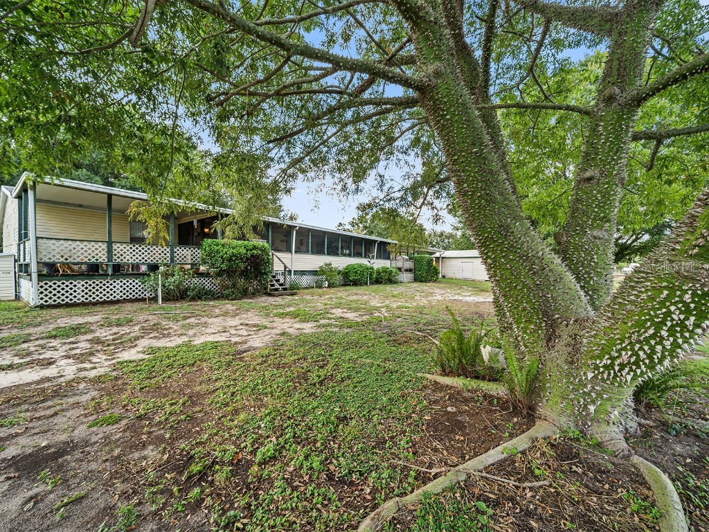 126 Bermuda Court Winter Haven FL 33880 - Grassy Lake P4932418 image23