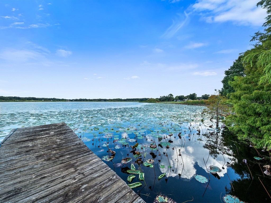 126 Bermuda Court Winter Haven FL 33880 - Grassy Lake P4932418 image28