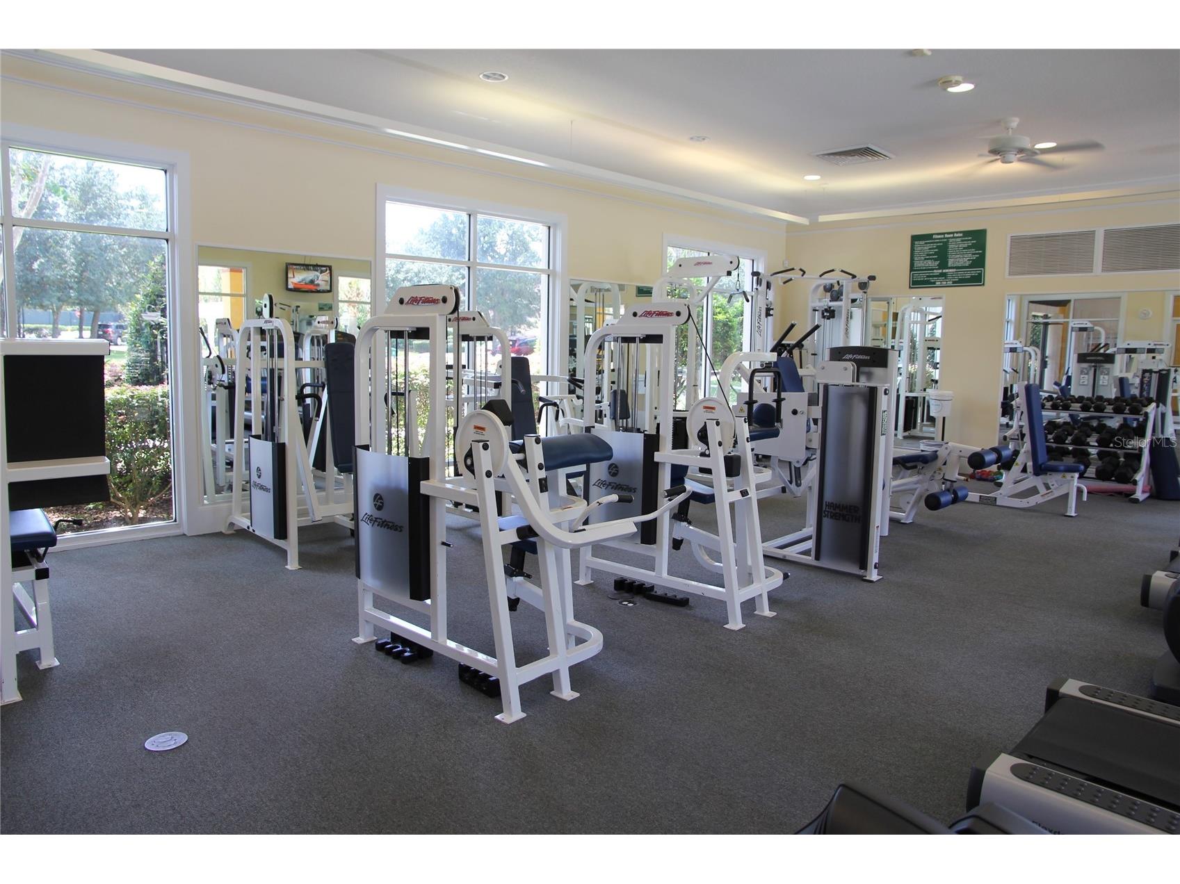 126 Birchmont Drive Deland FL 32724 V4949377 image43