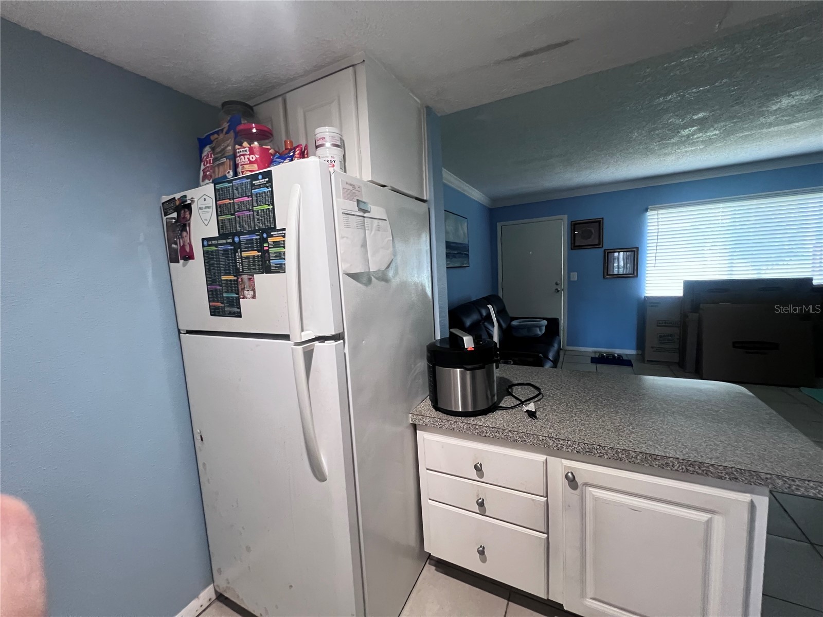 126 Blue Point Way #100 Altamonte Springs FL 32701 O6422081 image6