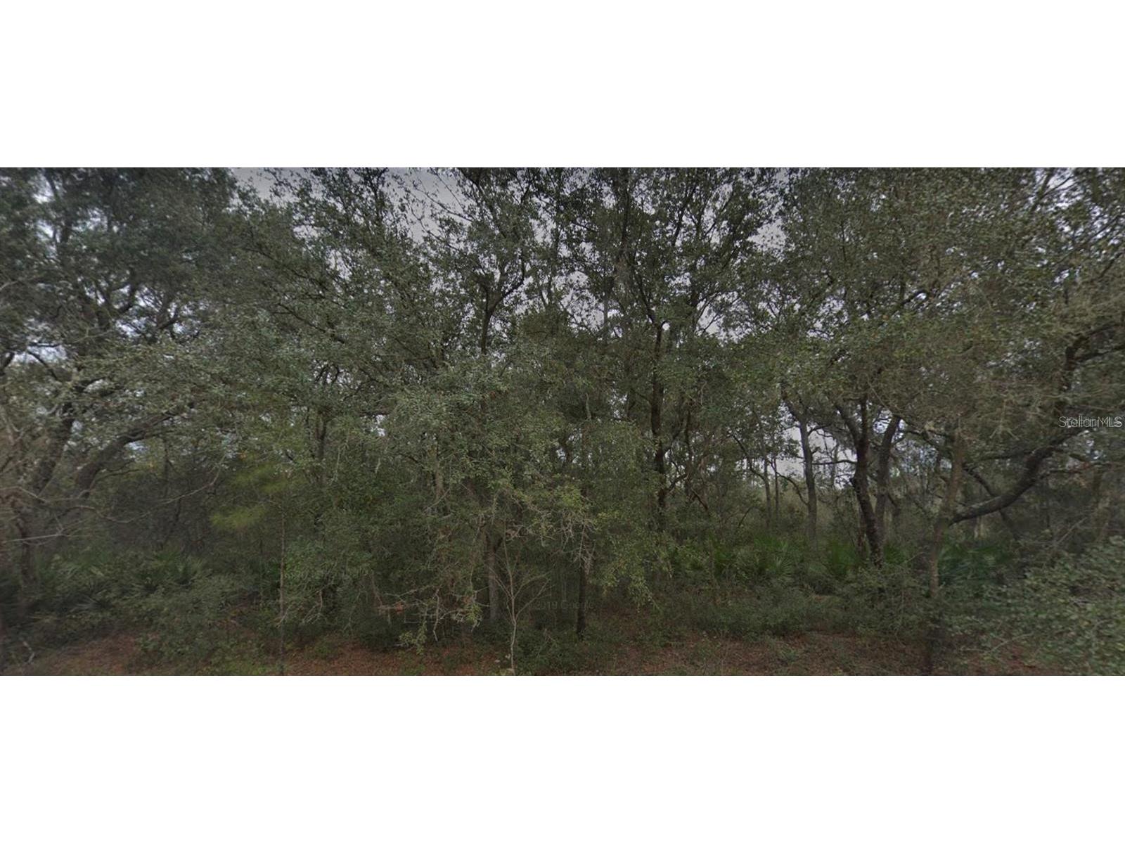 126 Bream Drive Interlachen FL 32148 W7848990 image1