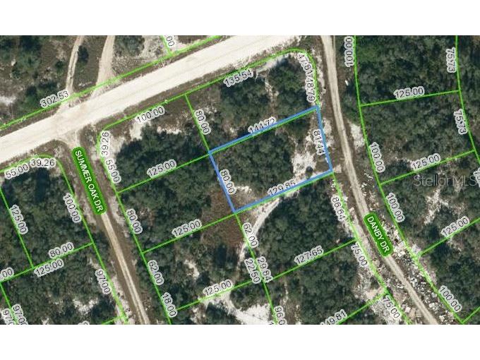 126 Danby Drive Lake Placid FL 33852 OM623681 image1