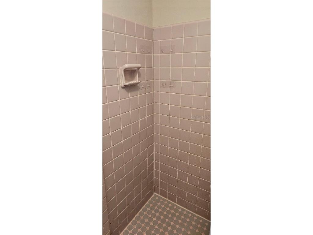 126 E Cypress Avenue Howey In The Hills FL 34737 O6345821 image28