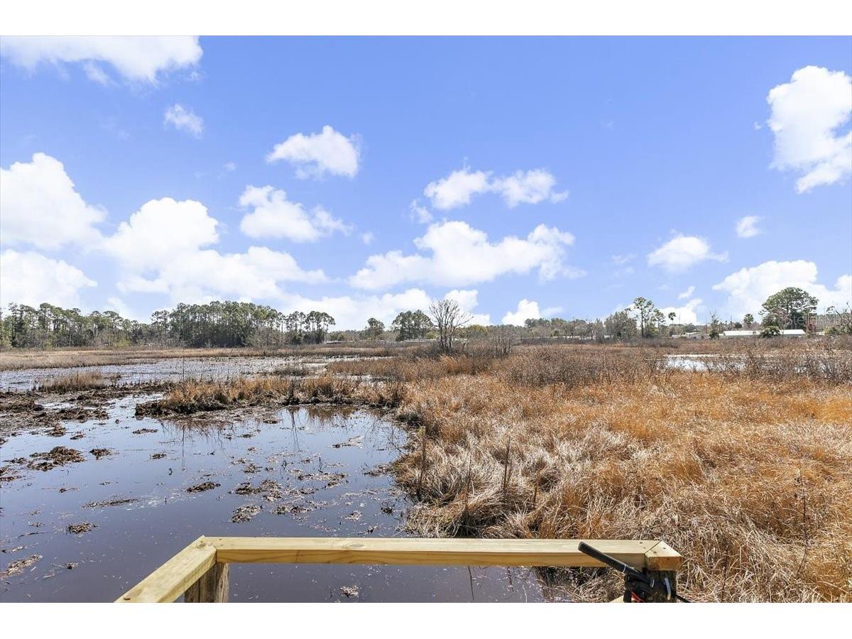 126 Georgia Avenue Crescent City FL 32112 FC315849 image23