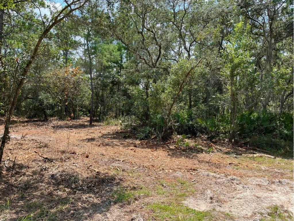 126 Lakeside Boulevard Pomona Park FL 32181 OK221891 image1