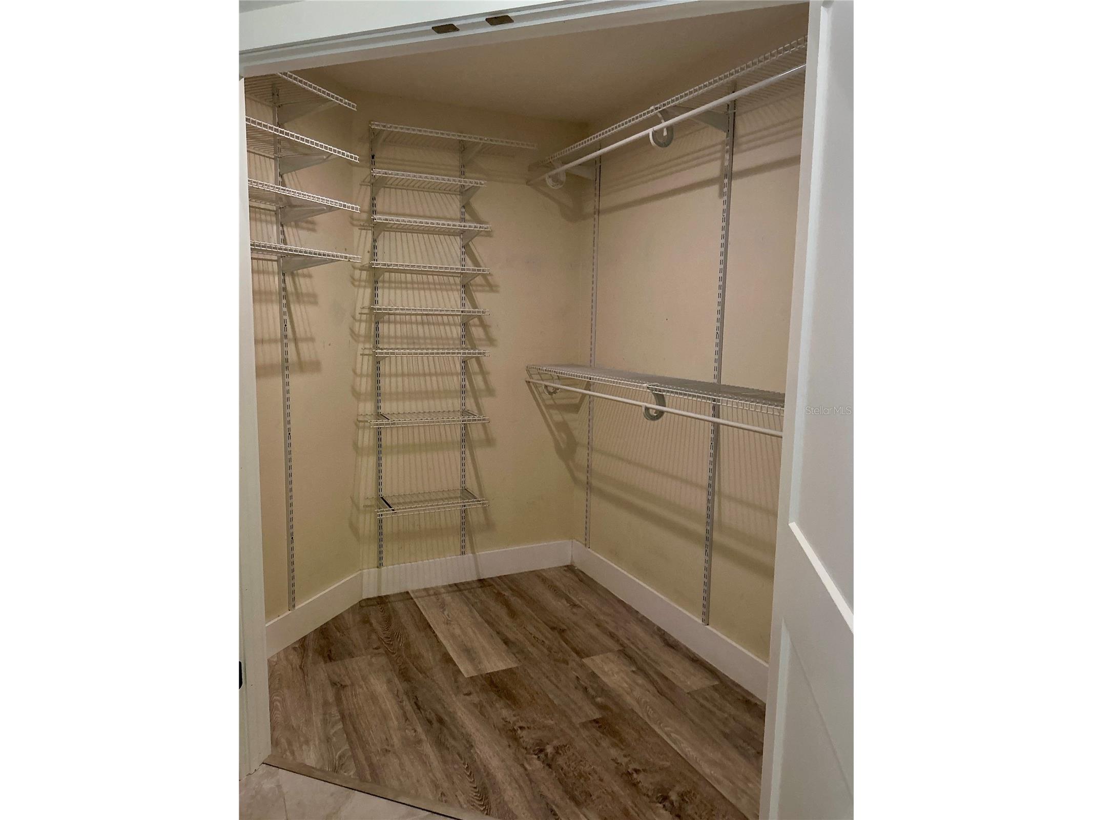 126 Old Oak Circle Palm Harbor FL 34683 TB8526254 image31