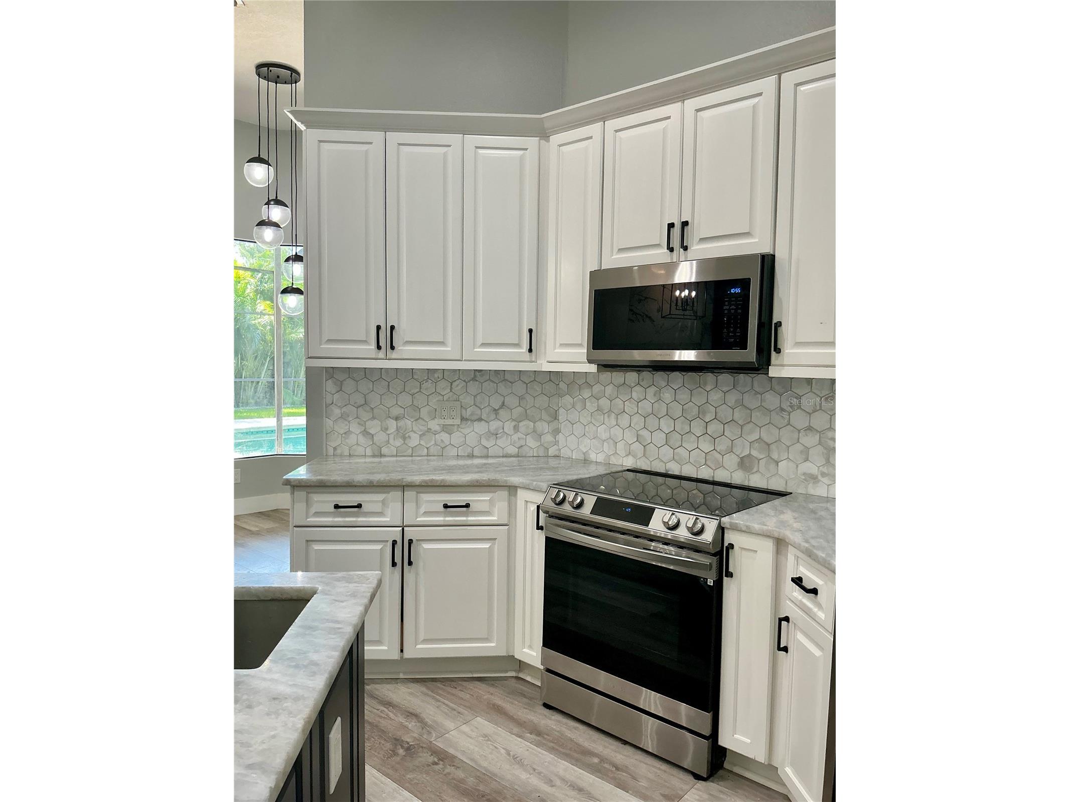126 Old Oak Circle Palm Harbor FL 34683 TB8526254 image42