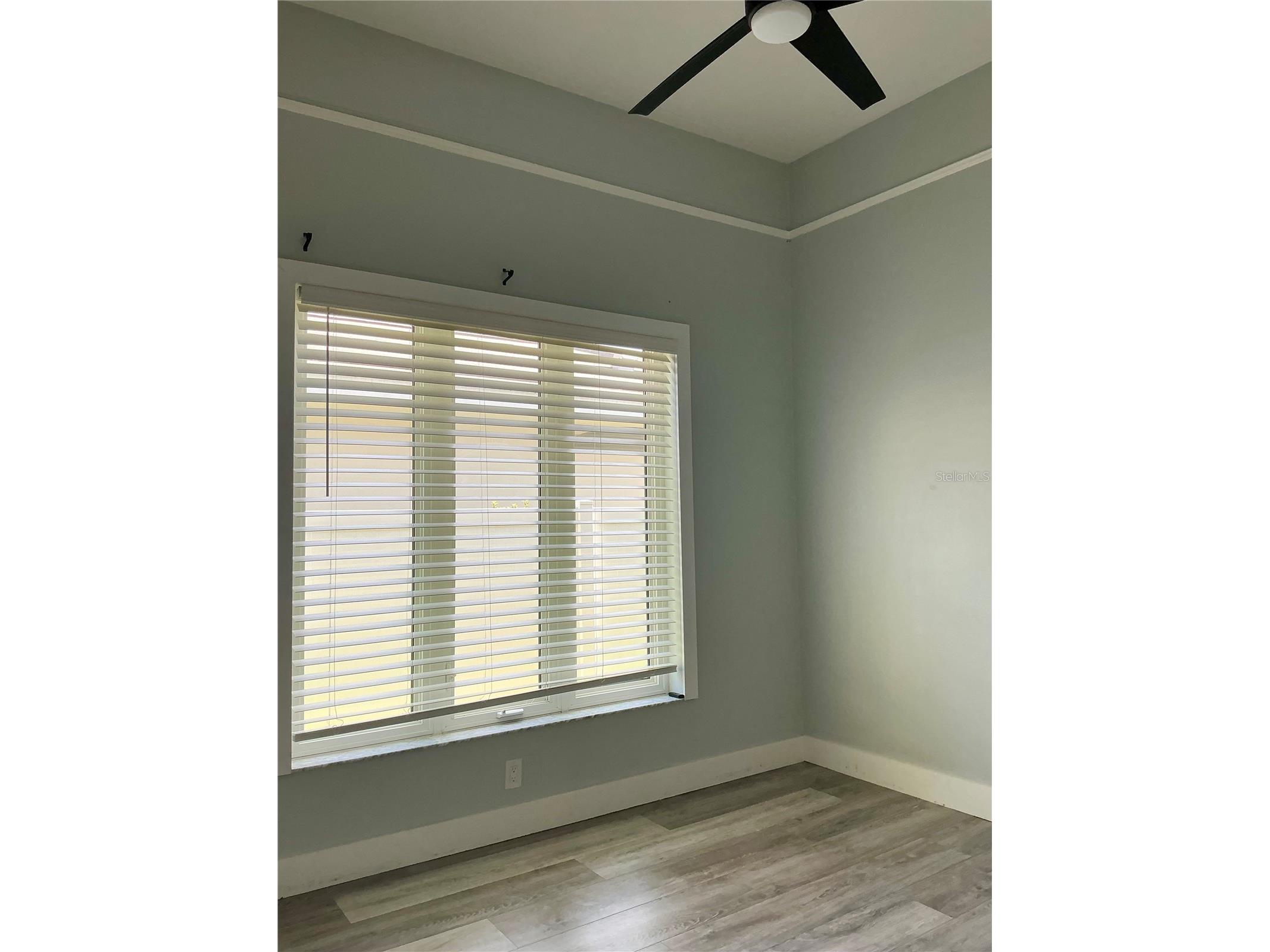 126 Old Oak Circle Palm Harbor FL 34683 TB8526254 image54
