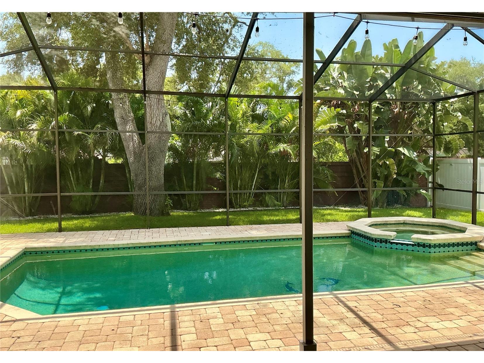 126 Old Oak Circle Palm Harbor FL 34683 TB8526254 image64