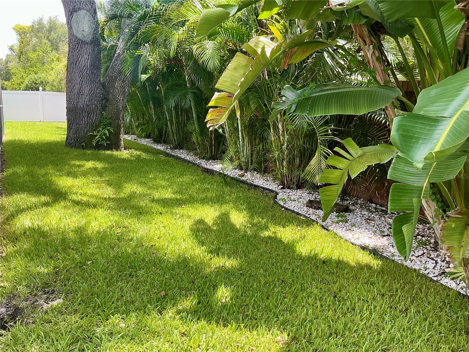 126 Old Oak Circle Palm Harbor FL 34683 TB8526254 image67
