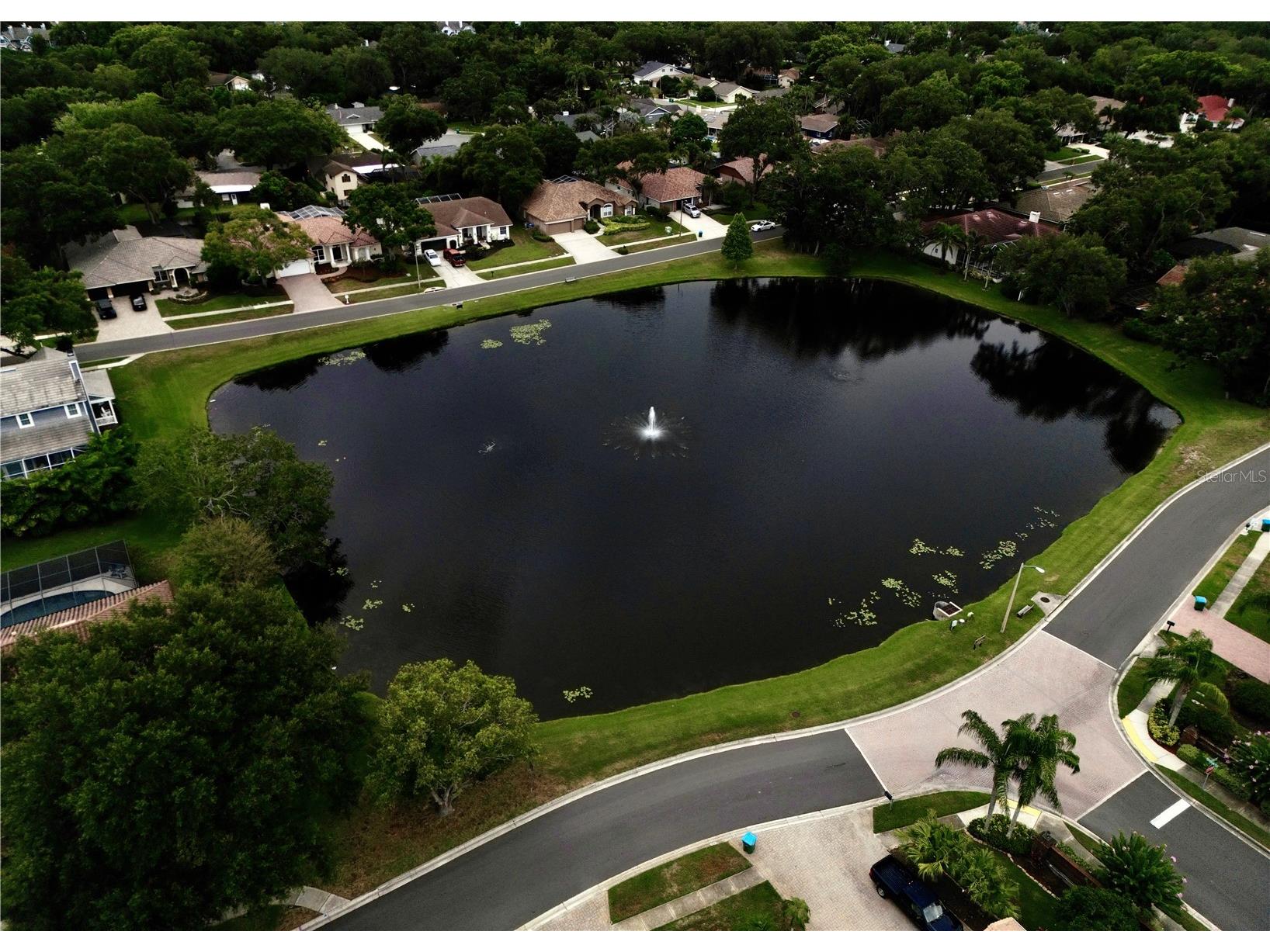 126 Old Oak Circle Palm Harbor FL 34683 TB8526254 image78