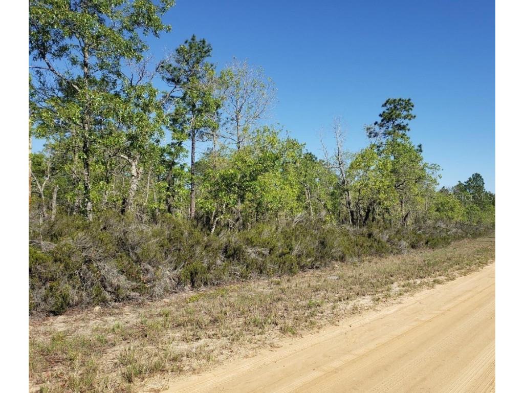 126 Quail Way Hawthorne FL 32640 U8254958 image1