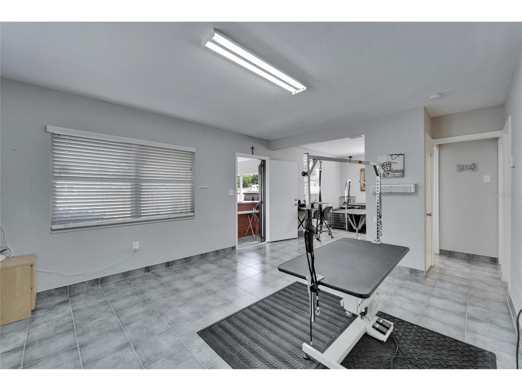126 Ridgewood Avenue Brandon FL 33510 TB8479570 image13