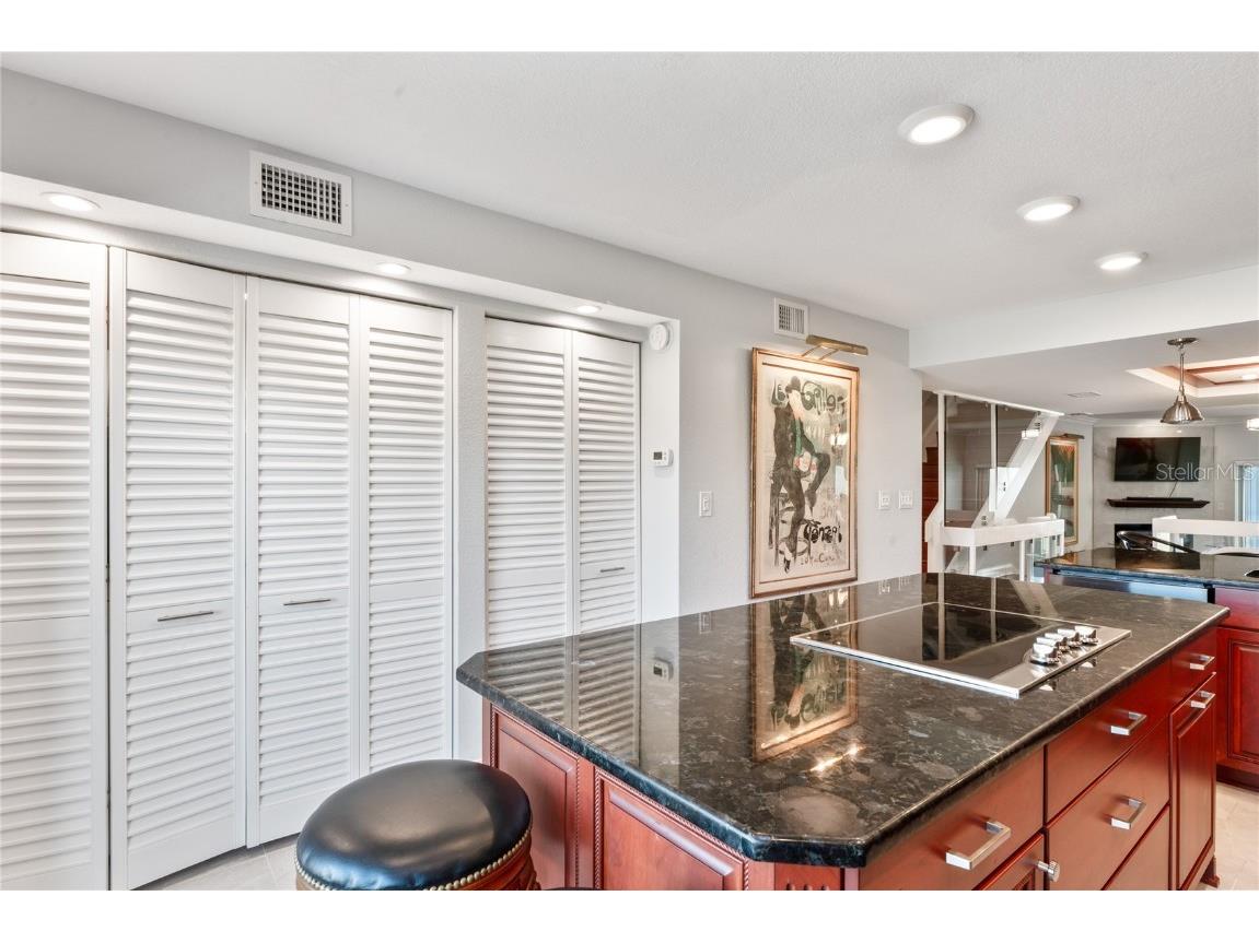 126 S 1st Street E #102 Tierra Verde FL 33715 TB8440828 image21