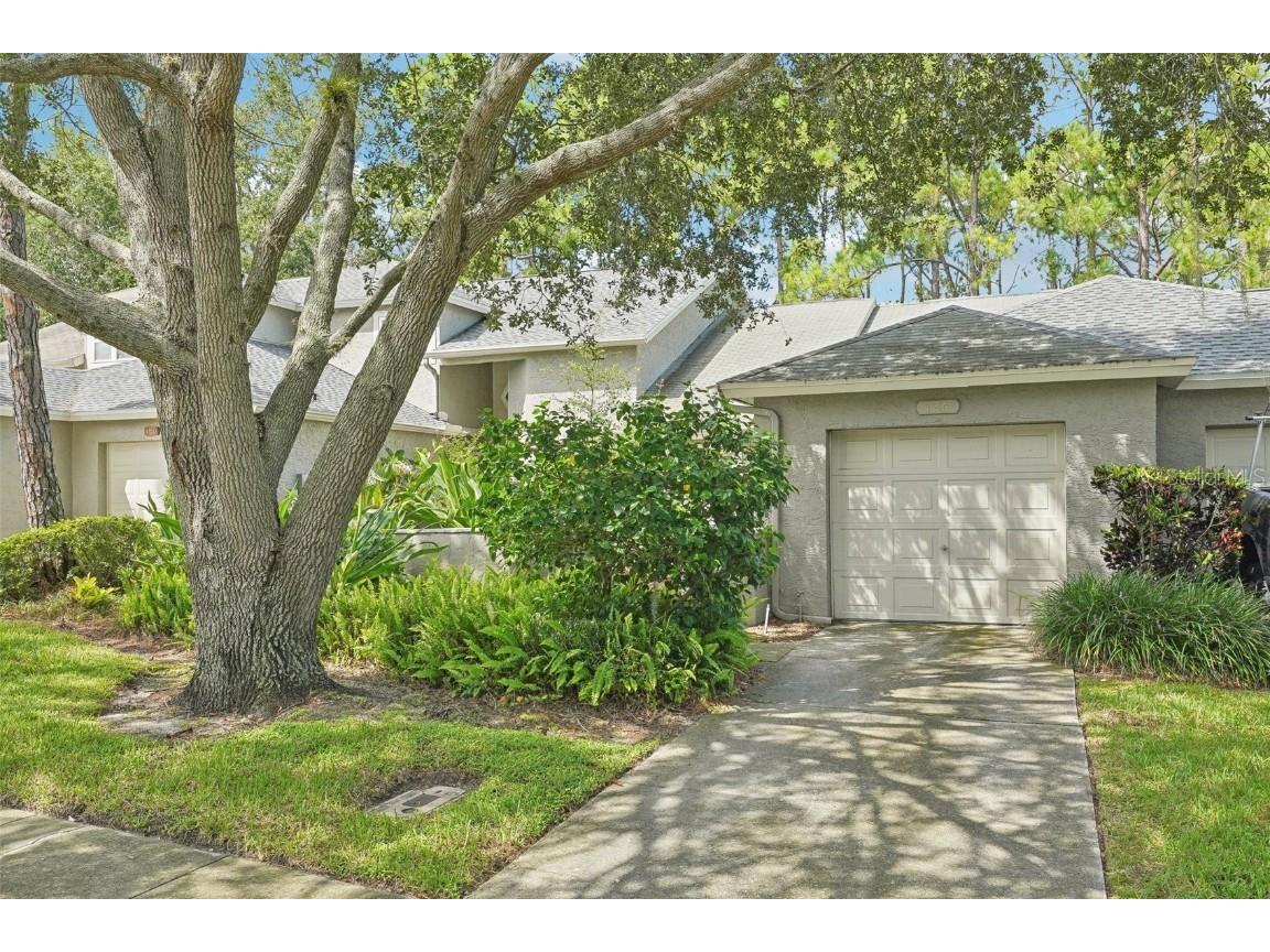 126 Steeplechase Lane Palm Harbor FL 34684 TB8303971 image1