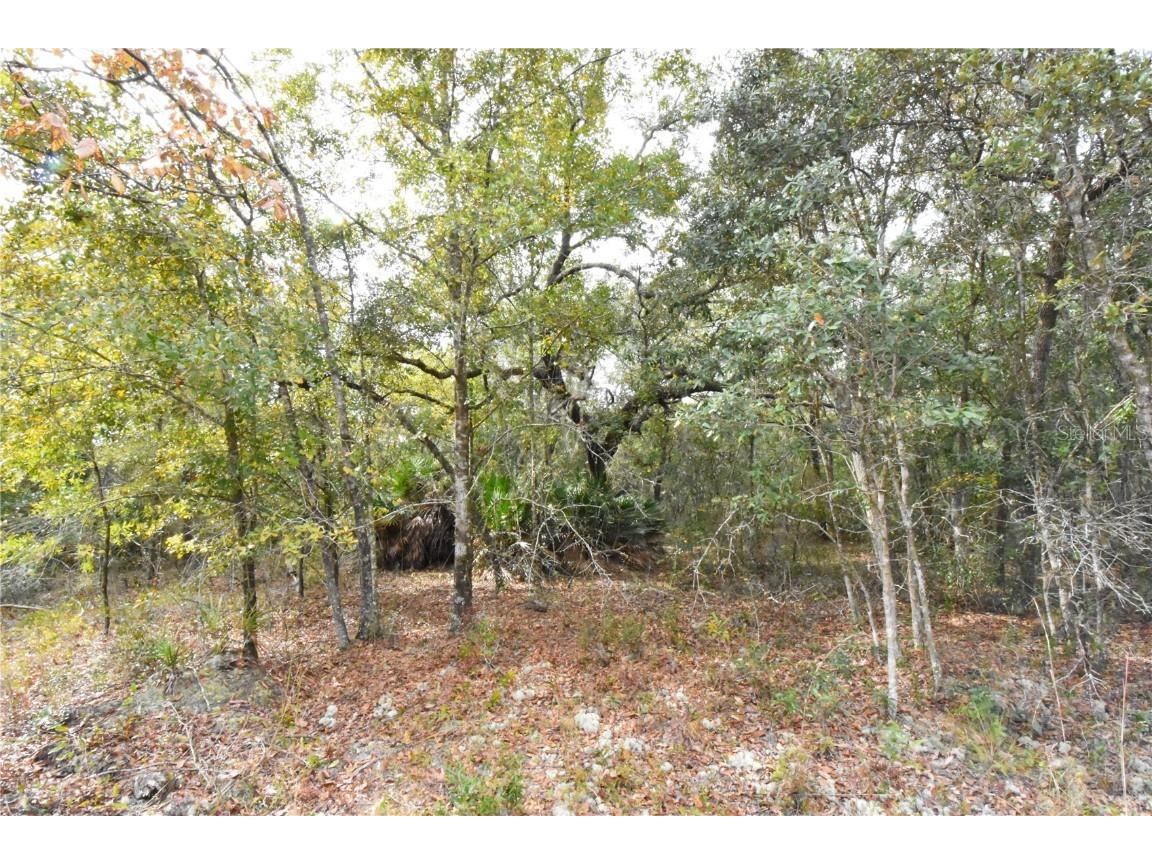 126 Terrell Street Interlachen FL 32148 GC535377 image45