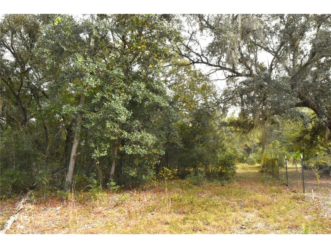 126 Terrell Street Interlachen FL 32148 GC535377 image47