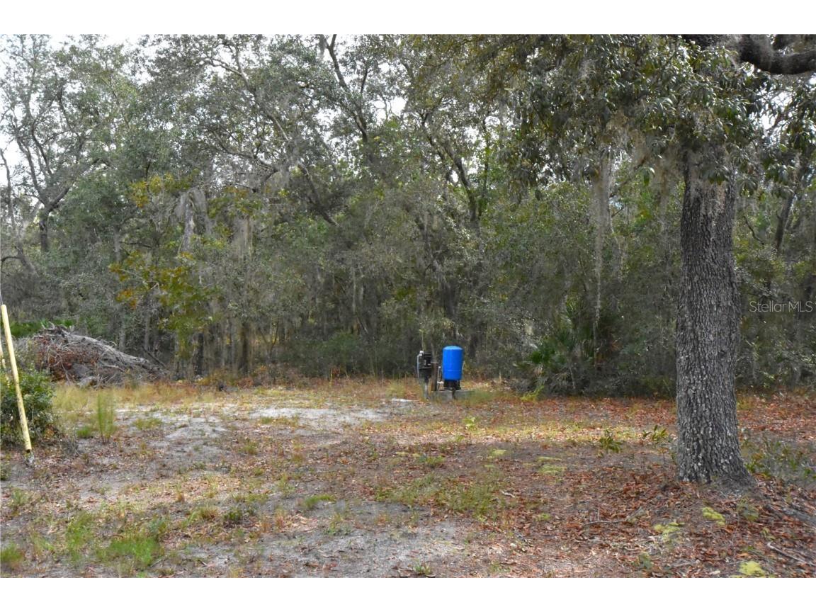 126 Terrell Street Interlachen FL 32148 GC535377 image51