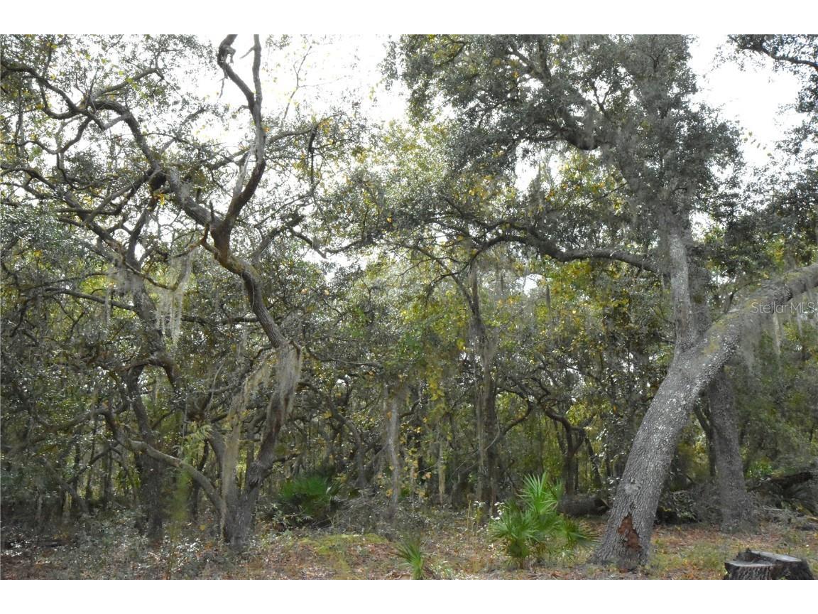 126 Terrell Street Interlachen FL 32148 GC535377 image53