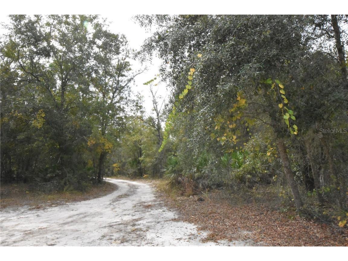 126 Terrell Street Interlachen FL 32148 GC535377 image55