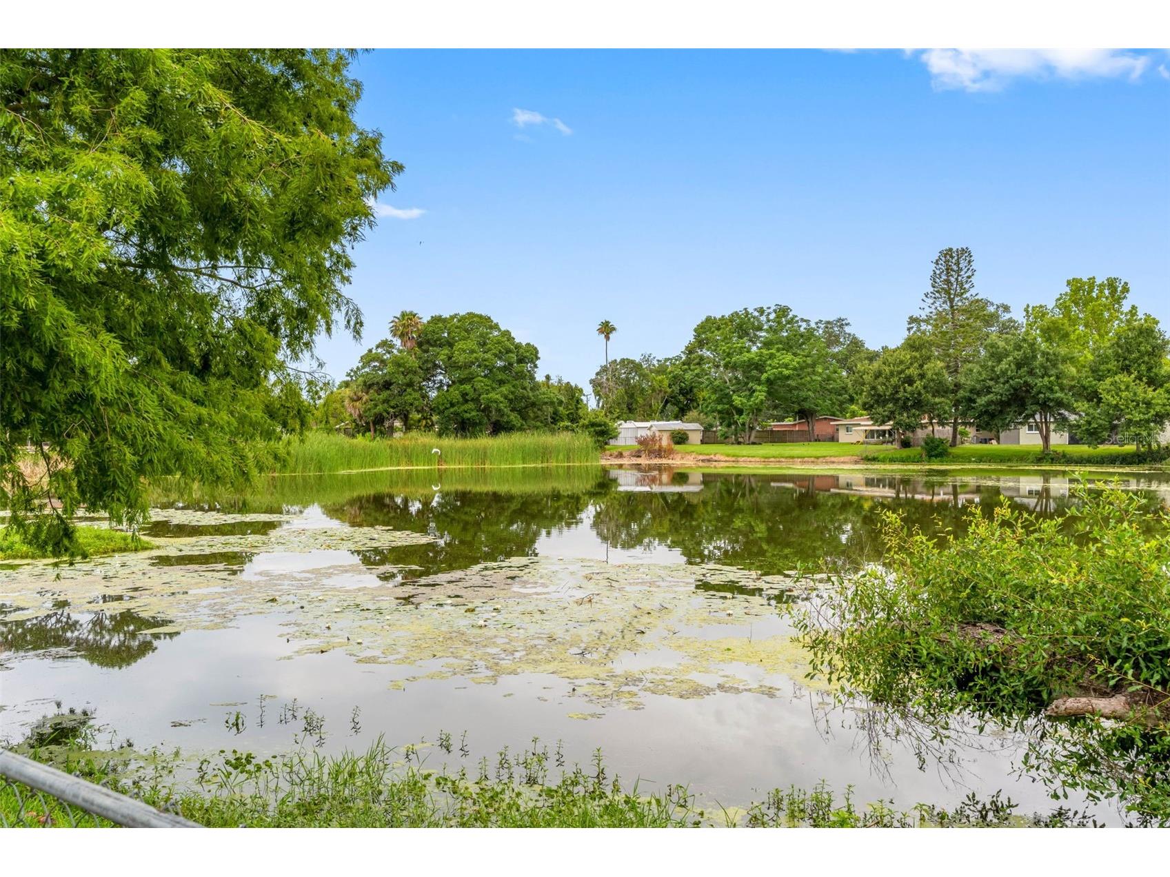 126 W Grapefruit Circle Clearwater FL 33759 - LAKE PATRICIA TB8514146 image18