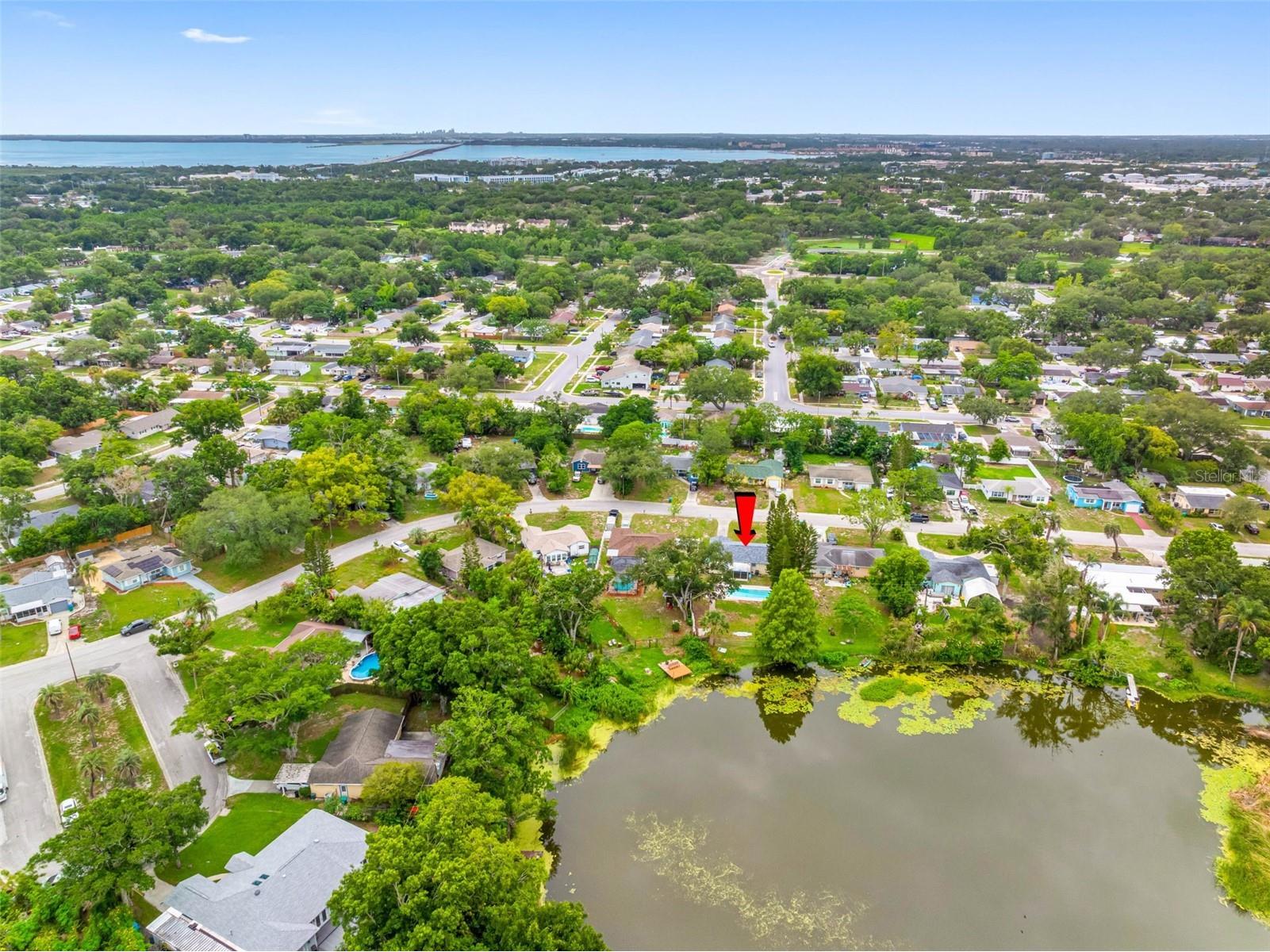 126 W Grapefruit Circle Clearwater FL 33759 - LAKE PATRICIA TB8514146 image49