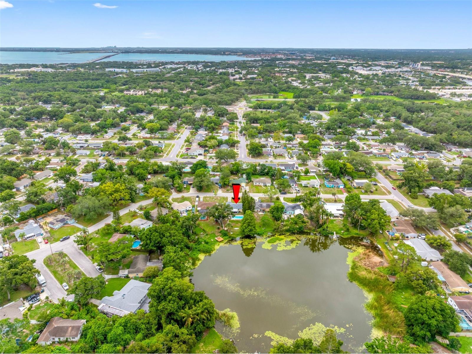 126 W Grapefruit Circle Clearwater FL 33759 - LAKE PATRICIA TB8514146 image50