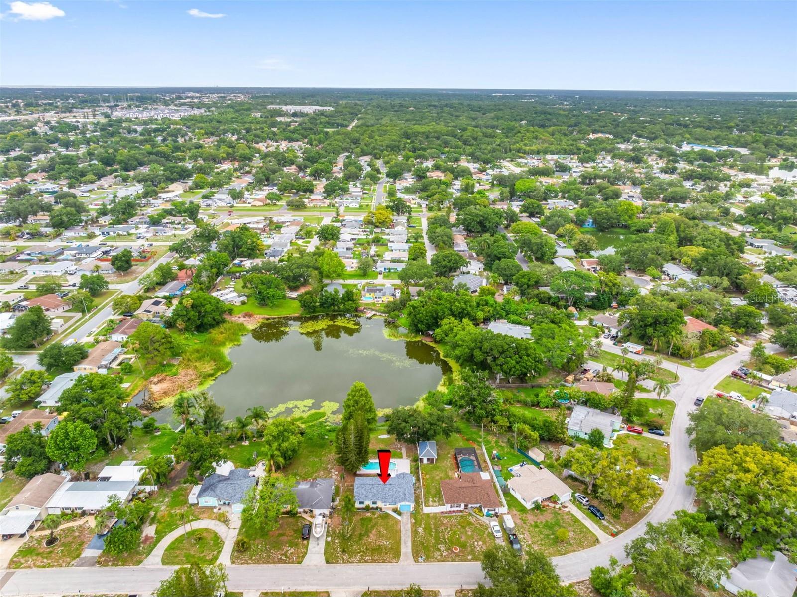 126 W Grapefruit Circle Clearwater FL 33759 - LAKE PATRICIA TB8514146 image54