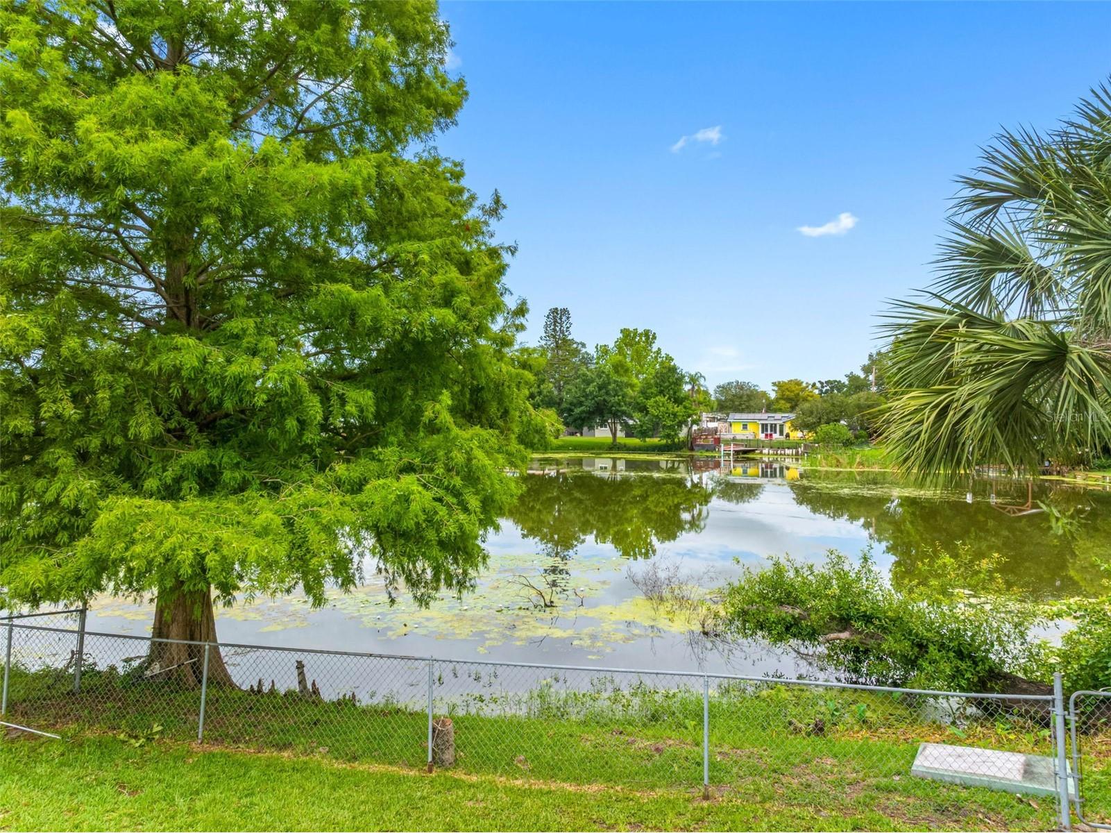 126 W Grapefruit Circle Clearwater FL 33759 - LAKE PATRICIA TB8514146 image62