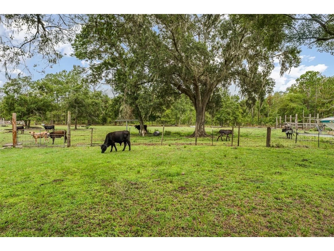 126 Wildlife Trail Lakeland FL 33809 TB8404819 image23