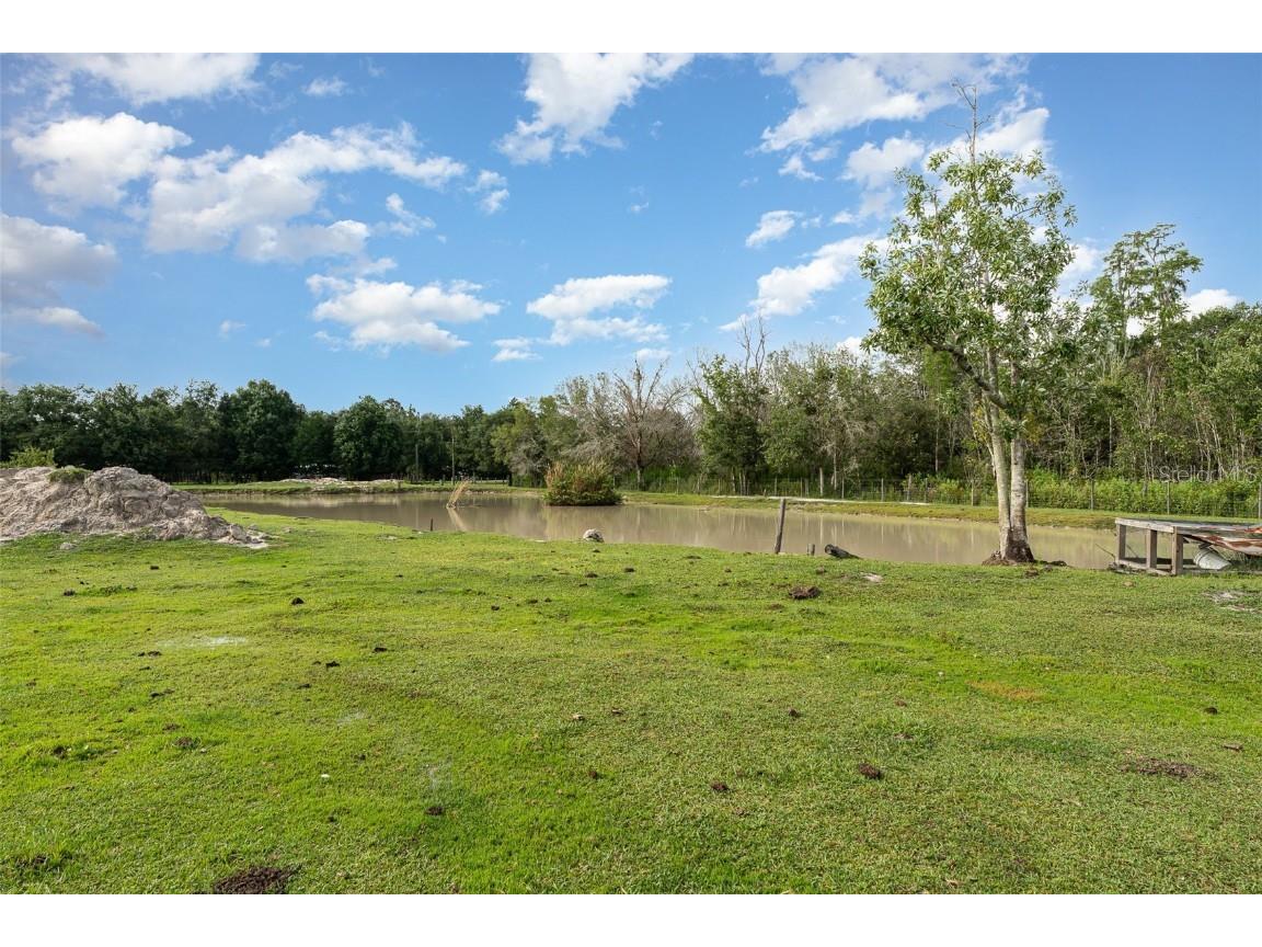 126 Wildlife Trail Lakeland FL 33809 TB8404819 image24