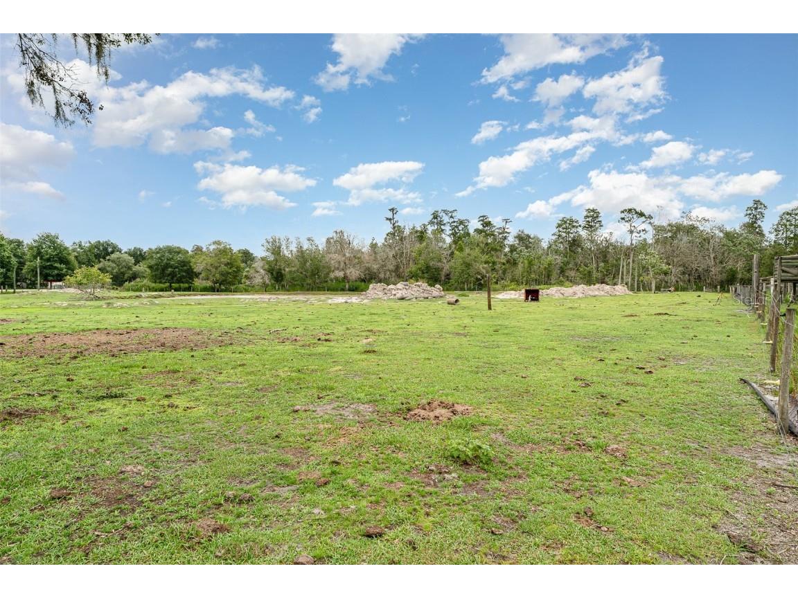 126 Wildlife Trail Lakeland FL 33809 TB8404819 image25