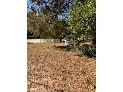 126 Yeatts Avenue Interlachen FL 32148 GC535631 image4